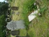 image of grave number 613524